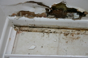 Kirkland IL Flood Damage Mold Damage Removal  224-676-9720