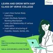 Learn And Grow With A&P Class Of Verve College