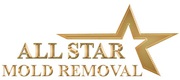 All Star Mold Removal Chicago