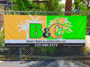 The Best Quality Tree Removal Service In Florida - Tree Services Cape 