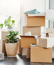 Senior Moving Services Bloomington IL